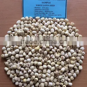 VIETNAM LOTUS SEED, HIGH QUALITY AT RIGHT PRICE thumbnail-2