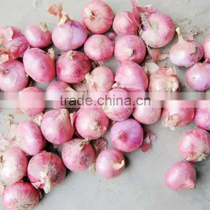 Fresh Hot Spice Onion Yellow Onion Red Onion Purple Onion thumbnail-1