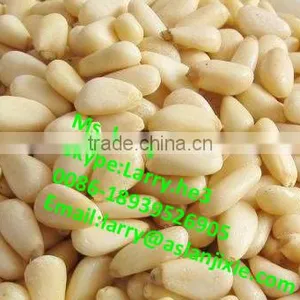 Pine Cone Peeler Machine/pine Cone Skin Peeling Machine/automatic Pine Cone Peeler thumbnail-6