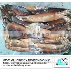 Frozen Squid Supplier thumbnail-1