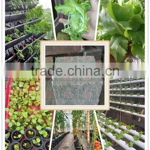 Popular Hot Size 1.5" Seed Growing Rockwool Cubes thumbnail-1