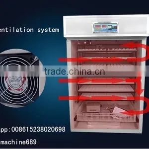Newest Full Automatic Egg Incubator/hatcher With Factory Price thumbnail-2