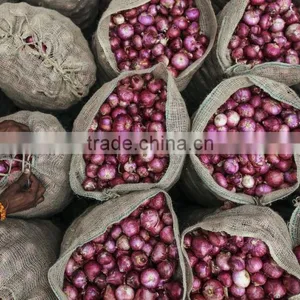 Fresh Red Onion thumbnail-1