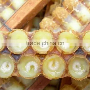 Factory Price 1.4% 10-HADpure Organic Fresh Royal Jelly thumbnail-2