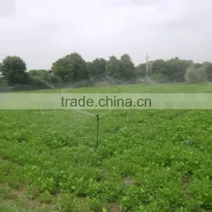 Brass Nozzle for Sprinkler Irrigation System thumbnail-2
