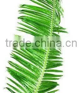 SJ12001119 Dried Plam Tree Leave/artificial Big Leaves thumbnail-5