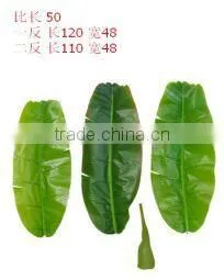 Monstera Leaves,dried Banana Leaf ,foliage Tree Leaves Decoration thumbnail-1