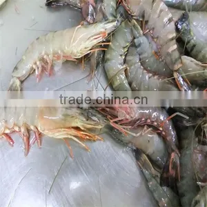 Frozen Walnut Shrimp thumbnail-1