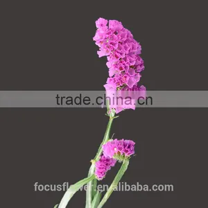 Unique Flower Vase Painting Designs Statice Popular Fresh Flower Fresh Cut Flowers thumbnail-1