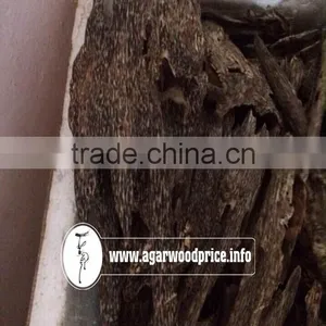 Vietnam - Ha Tinh Agarwood, Wild Oud Wood Chips With Extremely Cheap Price but Valuable Gaharu thumbnail-1