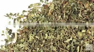 Best Carica Leaf thumbnail-2