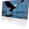 LCD Video Wall thumbnail-1