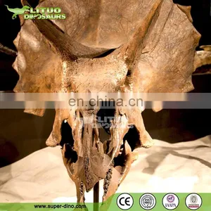 Museum Display Simulation Life Size Dinosaur Head Bone thumbnail-3