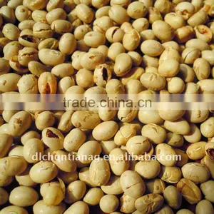 Roasted Bean Organic thumbnail-1