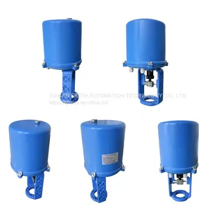220V AC Single-phase Power Angular Travel Electric Actuator Skjd-1000 Skjd-1800 thumbnail-1