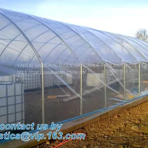 Plastic Film Agriculture Greenhouse,6 Mil Poly Anti-uv Plastic Greenhouse Film,Anti-fog UV Resistant,mushroom,TOMATO PAC thumbnail-5