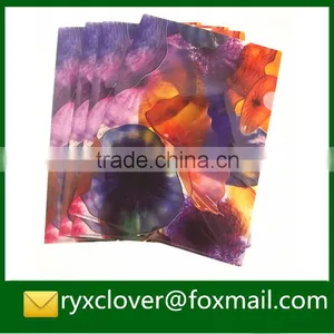 Factory Derictly Wholesale L Shape a4 Size File Folder pp Stationery thumbnail-3