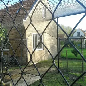 Black Knotted Anti Bird Netting Polyethylene Poultry Farming Chicken Pheasant Net thumbnail-5