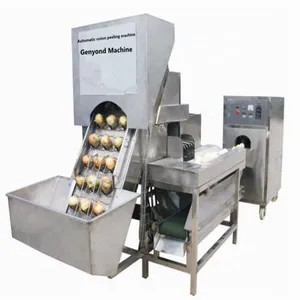 White Dehydrated Onion Powder Making Machine thumbnail-2