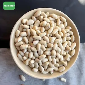 Large 25/29 Blanched Peanut Kernels for Commercial Food Manufacturing thumbnail-3