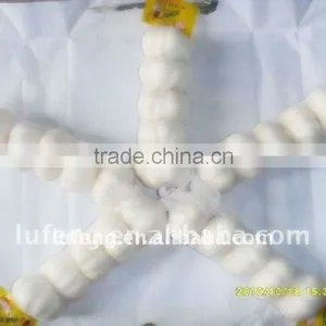 Chinese Fresh Garlic thumbnail-1