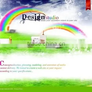 Flash Website Design thumbnail-1