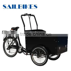 Morden Electric Cargo Trike for Family thumbnail-2