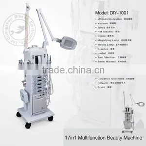 Professional 17 In1 Multifunction Beauty Saon Facial Machine DIY-1001 thumbnail-3