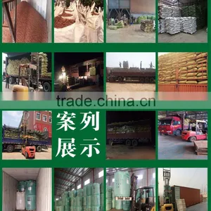 High Efficiency Biomass Fuel Wood Pellets Price/pine Wood Pellets for Biofuel/cheap Pellets for Sale thumbnail-1