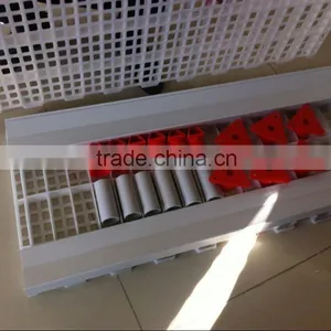 Popular Shandong Province Plastic Slats Flooring for Professional Poultry Farms/poultry Plastic Slat Floor thumbnail-3