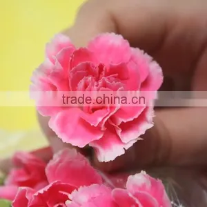 Good Smell Hot Sale Fresh Cut Carnations and Roses thumbnail-5