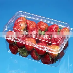 Fruit Plastic Packaging Boxes thumbnail-1