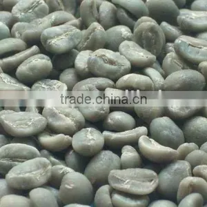 Green Bean thumbnail-1