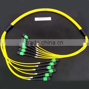 MPO Trunk Cable thumbnail-3