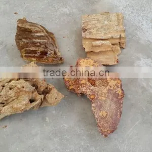 Colombian Amber (Copal) - Raw thumbnail-2
