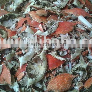 Sun Dried Shrimp Shell /Crab Shell Shrimp Shell Dried Shrimp thumbnail-6
