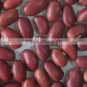 Sell New Crop Red Bean thumbnail-1