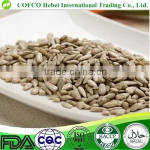 Peeled Sunflower Seeds Sunflower Kernels thumbnail-1