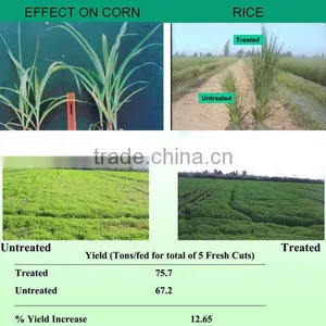 Totally Soluble Mineral Fulvic Acid For Foliar Fertilizer thumbnail-3