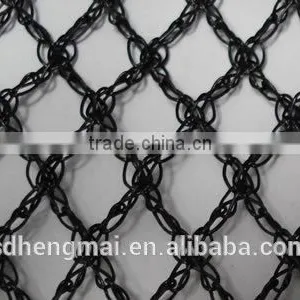 100% Virgin HDPE Bird Netting/protection Net /Antihail Net thumbnail-3