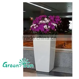 Transparent Plastic Orchid Pot With Self Watering Planters thumbnail-4