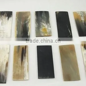 Natural Water Buffalo Horn Plates thumbnail-3