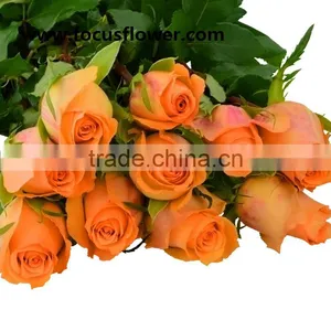 Promotional Handmade Porcelain Flowers Fresh Cut Tube Flower Queen's Day Rose for Decoration From Yunnan thumbnail-2
