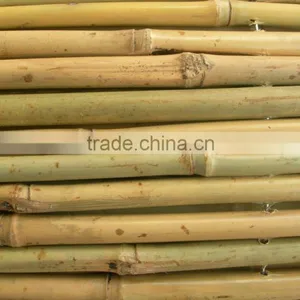 Drilled Bamboo Fence for Garden thumbnail-2