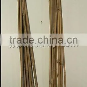 U-hoop Bamboo Poles Baoboo Canes for Agriculture thumbnail-5