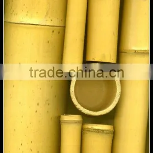 Bamboo Pole thumbnail-1
