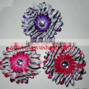 Two-toned Zebra Flowers Zebra Daisies Flowers thumbnail-1