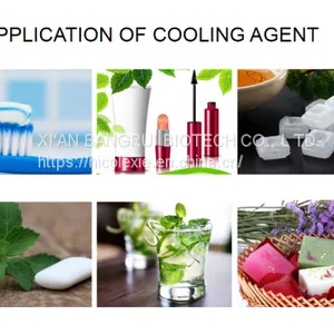 Hot Sale Antiseptic Cooling Agent Ws-12 Used in Household Articles and Oral Articles thumbnail-5
