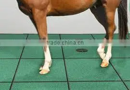 Rubber Floor for Horse Stall Tile thumbnail-1
