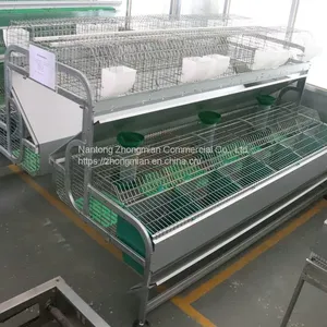 Industrial Breeding Rabbit Cages System for Rabbit Raising Industry 24/set thumbnail-3